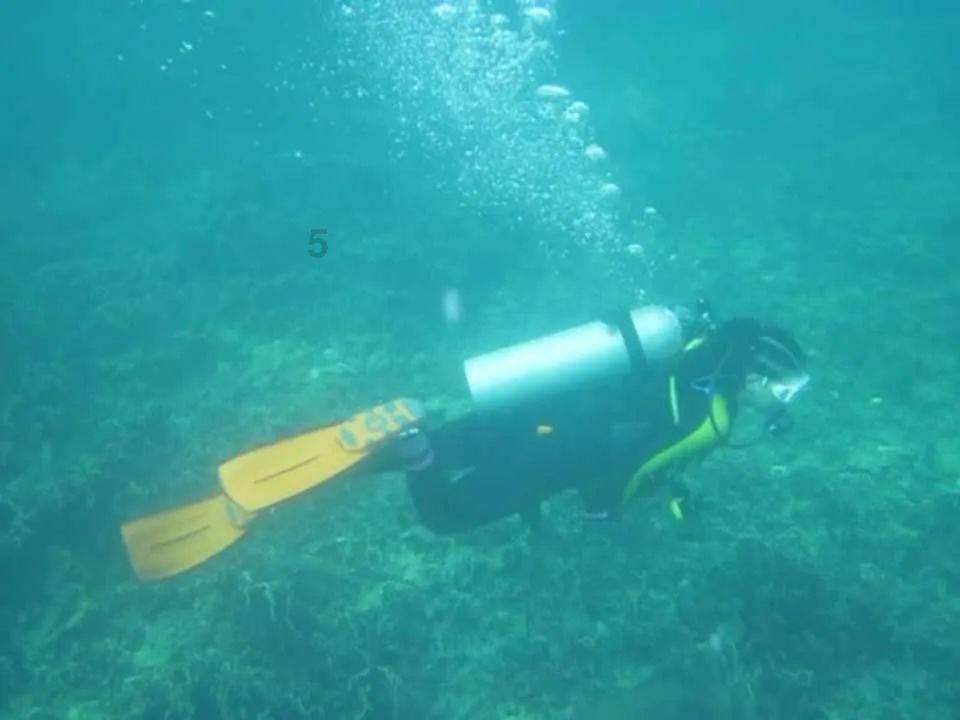 万词王